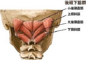 眼精疲労