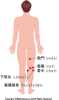 変形性膝関節症の症状 鍼灸治療 東京都大田区 大森駅前鍼灸院